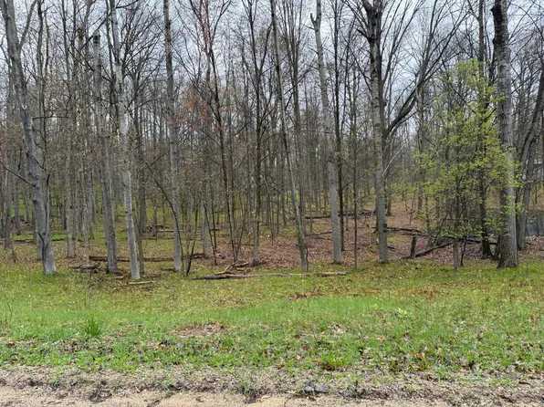 8196 Pine Tree Trl, Stanwood, MI 49346