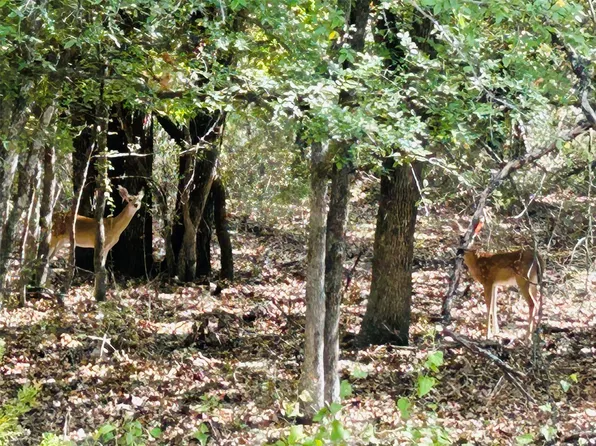 Westmeadow Dr, Whitney, TX 76692