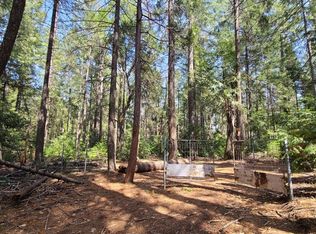 10106 Ditch Camp Rd, Georgetown, CA 95634