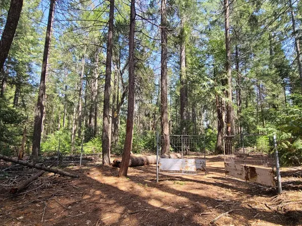 10106 Ditch Camp Rd, Georgetown, CA 95634