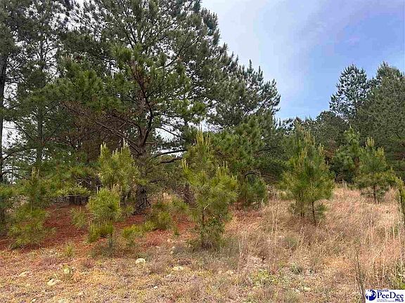2nd image of TRACT 3 Patrick Hwy