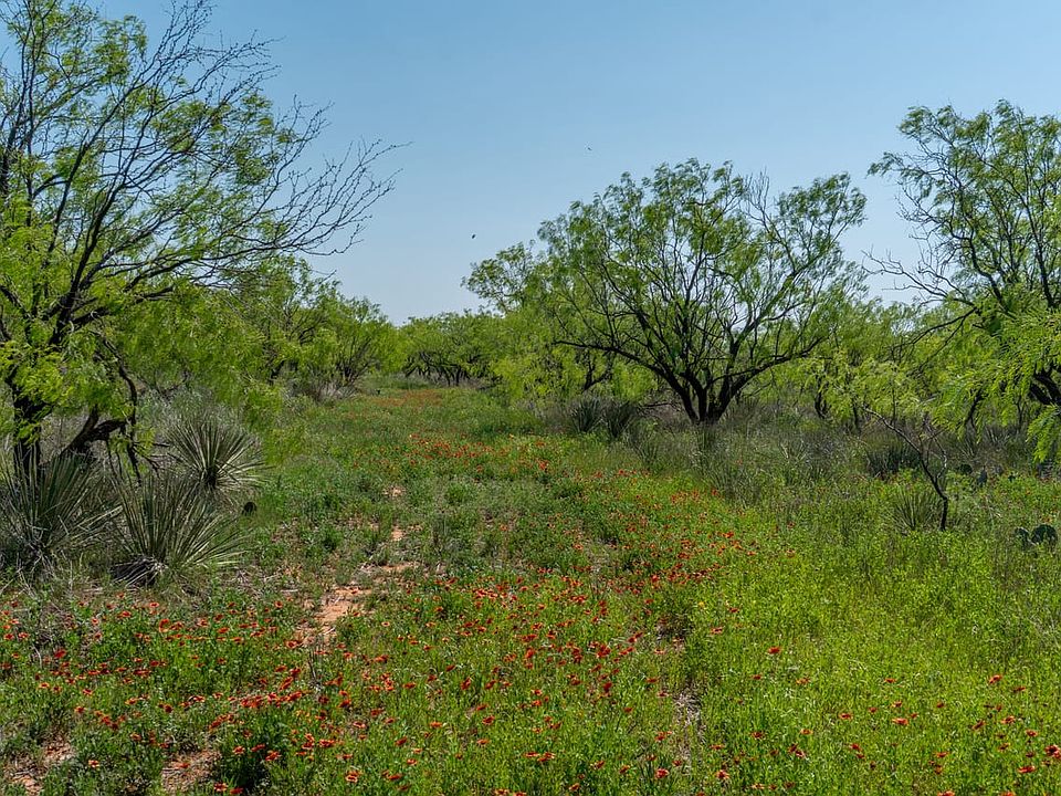 Sweetwater Land For Sale with Owner Financing Available