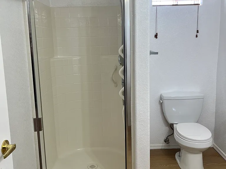 Guest bathroom shower & toilet