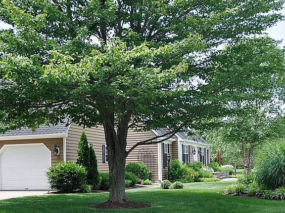 Sidewalk to front entry