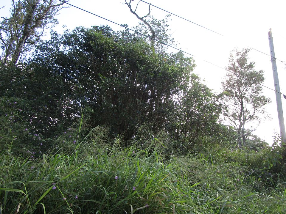 2nd image of Silversword Ct Lot 13