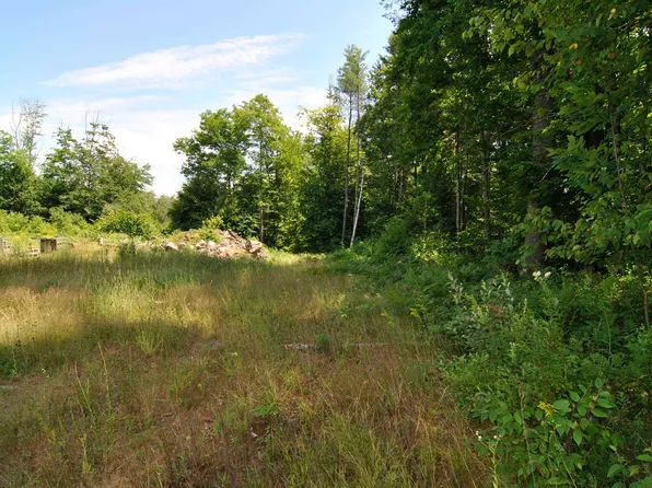 lot 12 East Deering Road, Deering, NH 03244
