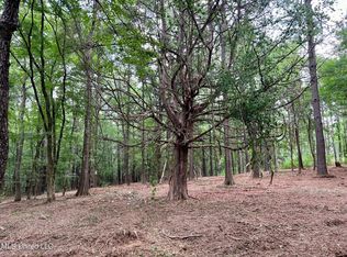 N Old Canton Rd, Canton, MS 39046