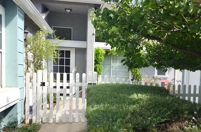 super nice front courtyard with an apricot tree and roses!