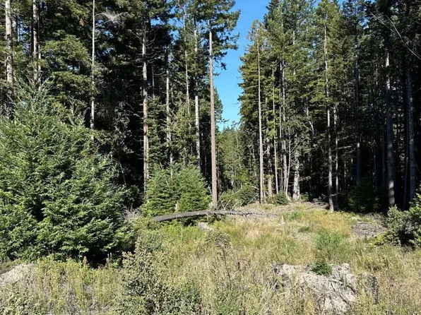 0 Cameron Rd, Elk, CA 95432