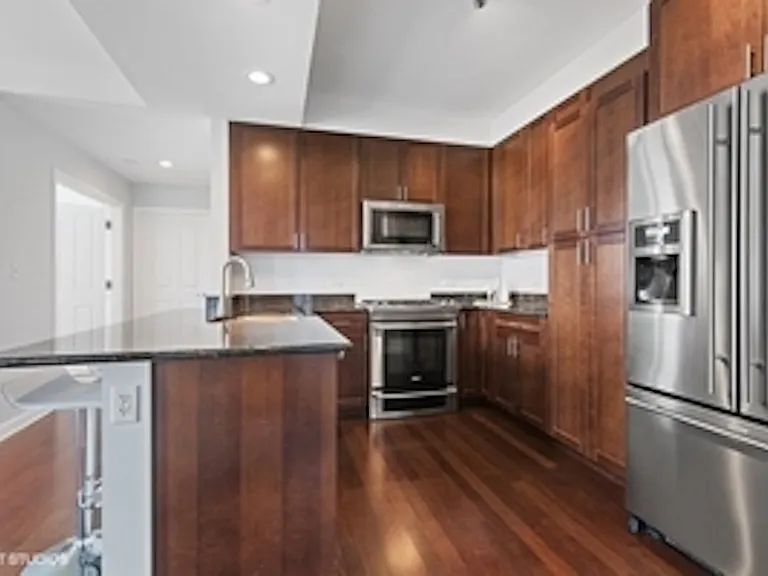1250 S Michigan Ave #2506 — Photo 7