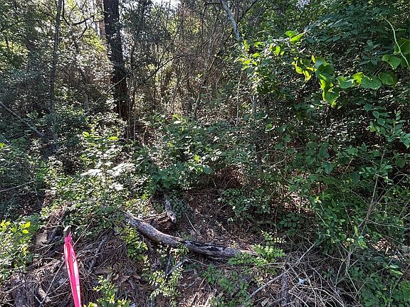 5th image of White Oak Dr Lot 26