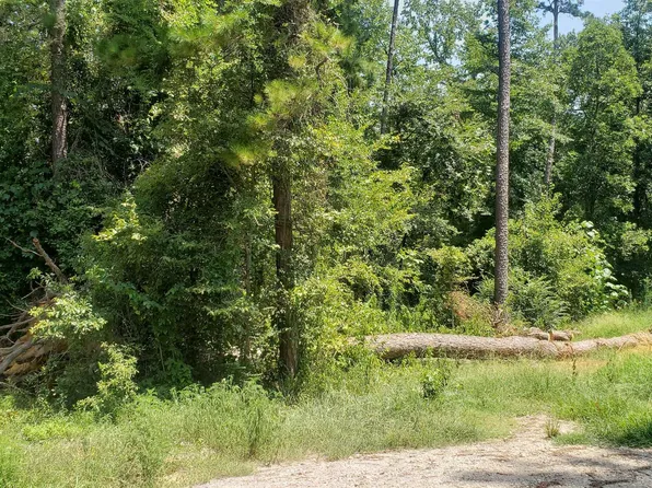 LOT 146 Oakwood Dr, Gilmer, TX 75645