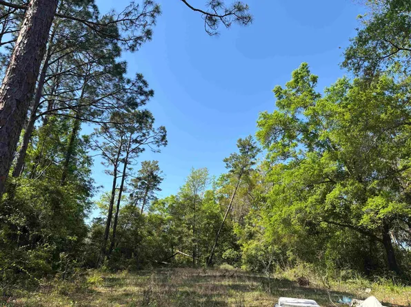 Three Rivers Rd, Carrabelle, FL 32322