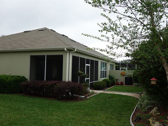 Back Yard River Birch on Rig