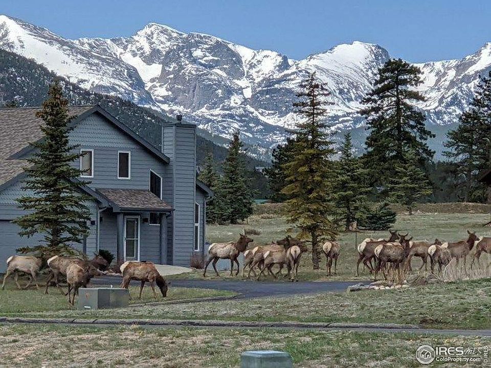 1st image of 1386 Raven Cir
