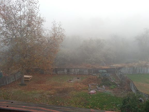 4th image of 1512 Amon Dr