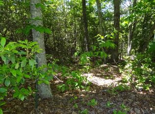 0 Willow Cove Rd, Franklin, NC 28734