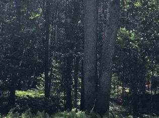 2 Rice Rd, Northville, NY 12134