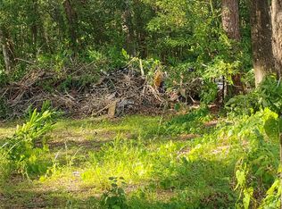 Jasmine Rd LOT 2, Altoona, FL 32702