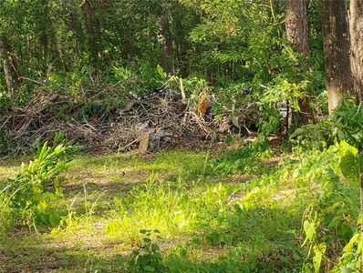Jasmine Rd LOT 2, Altoona, FL, 32702