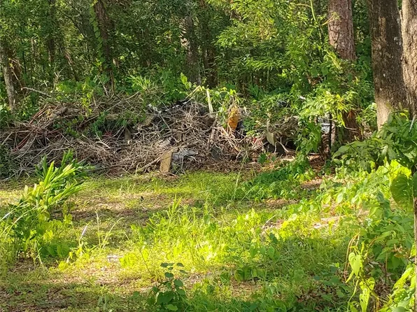 Jasmine Rd Lot 2, Altoona, FL 32702