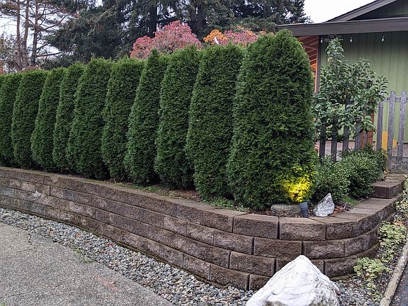 4th image of 5318 159th Pl NE