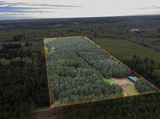 2650 Buie Rd, Diana, TX 75640