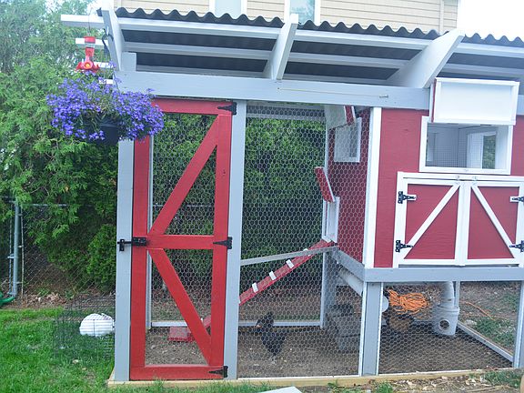 chicken coop 