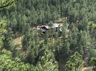 767 Skinner Gulch Rd, Loveland, CO 80537