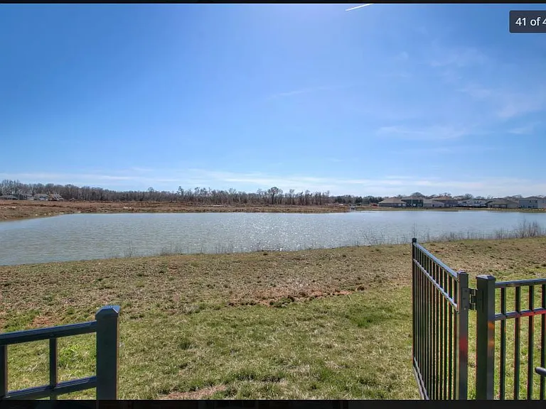 pond