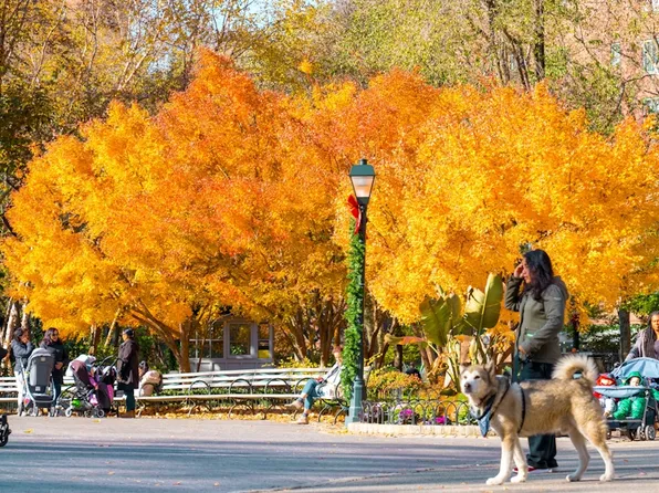 5 Peter Cooper Road image 17 of 17