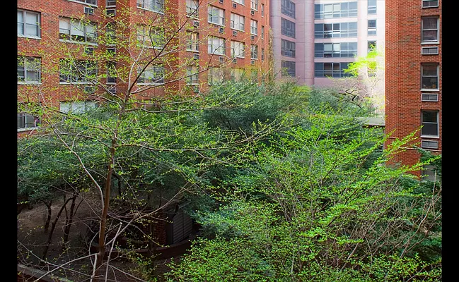 Sold by Douglas Elliman | media 8