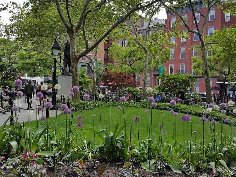 1st image of 15 Abingdon Sq APT 31