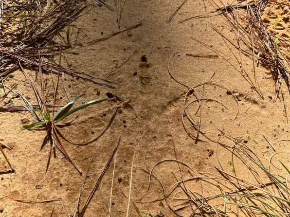 613 Of Co, Shubuta, MS 39360