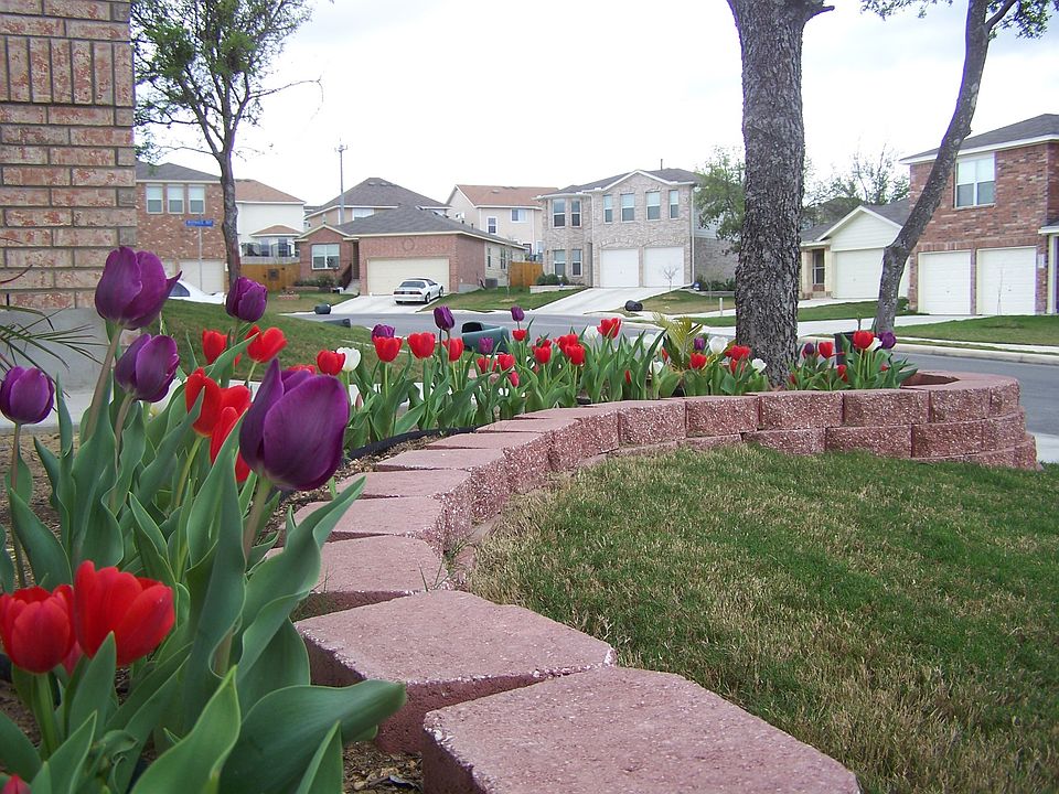 Front Flower Garden