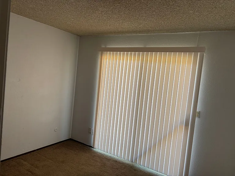4999 Curve Wood Way — Photo 13