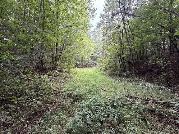 3rd image of Lots 1 5 Forge Hideaway Rd
