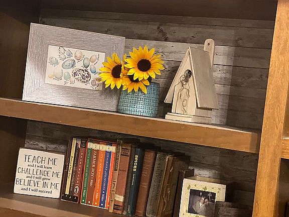 Custom built-ins,living Room