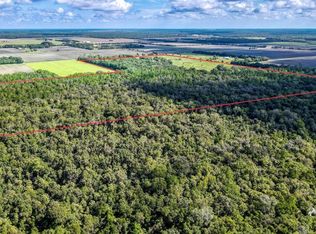 1001 County Road 108, Bunnell, FL 32110