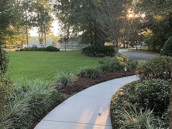 Front yard from porch 