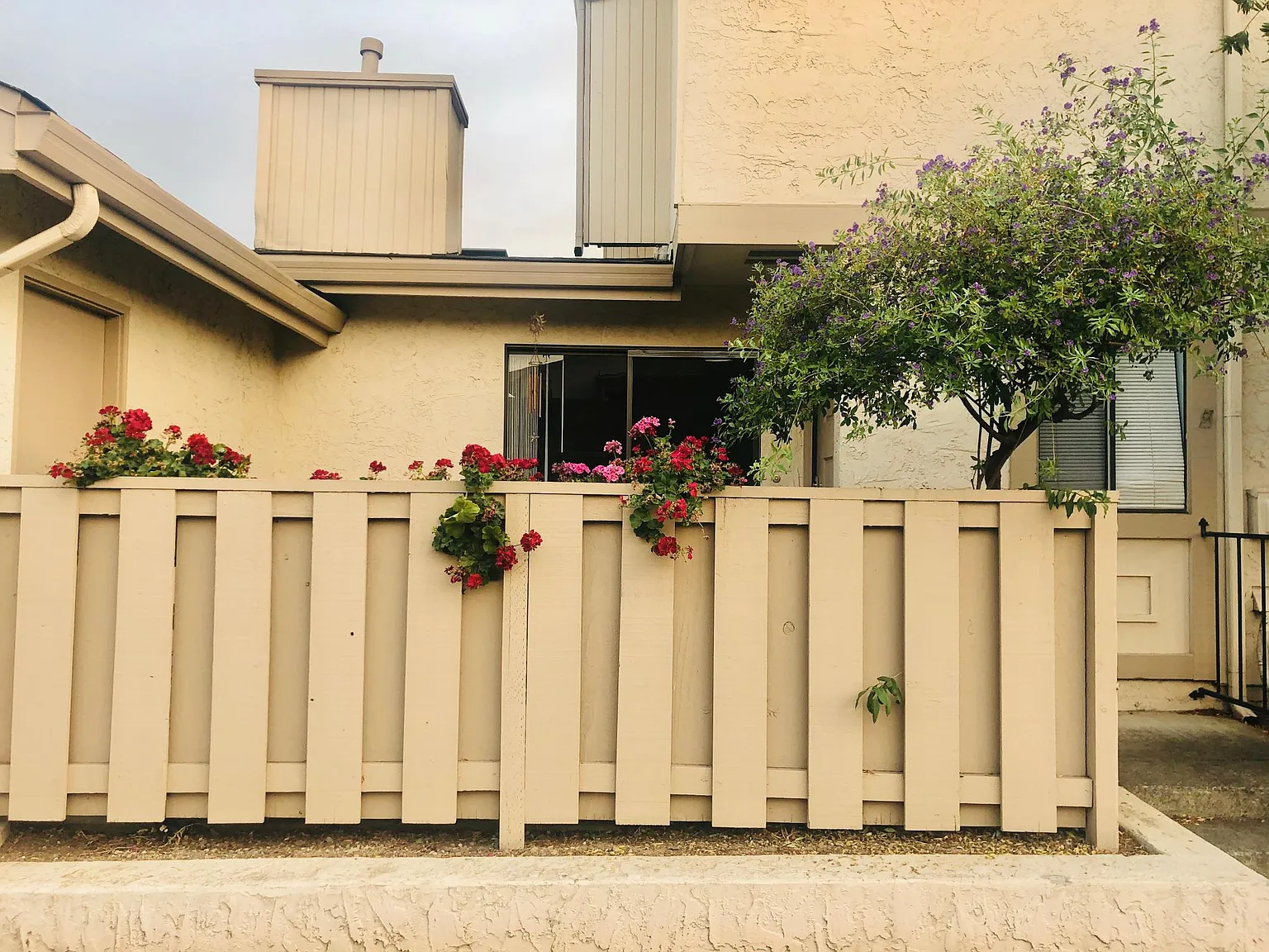 11113 Firethorne Dr photo 1