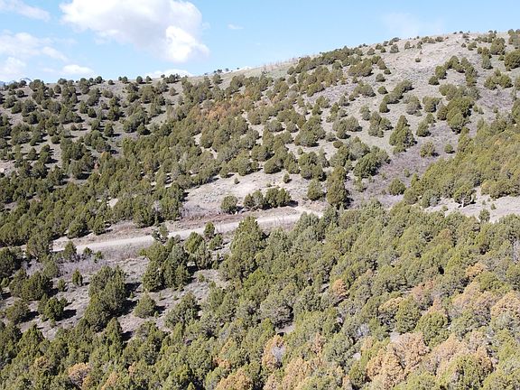 5th image of 15102 S Shaggy Mountain Rd W
