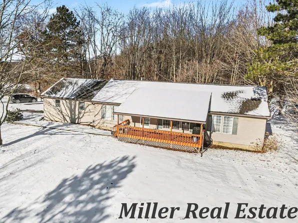 5580 Osborne Rd, Delton, MI 49046
