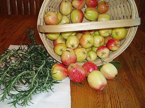 2 Apple Trees Located on Property