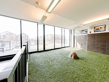 Xavier Apartments 2020