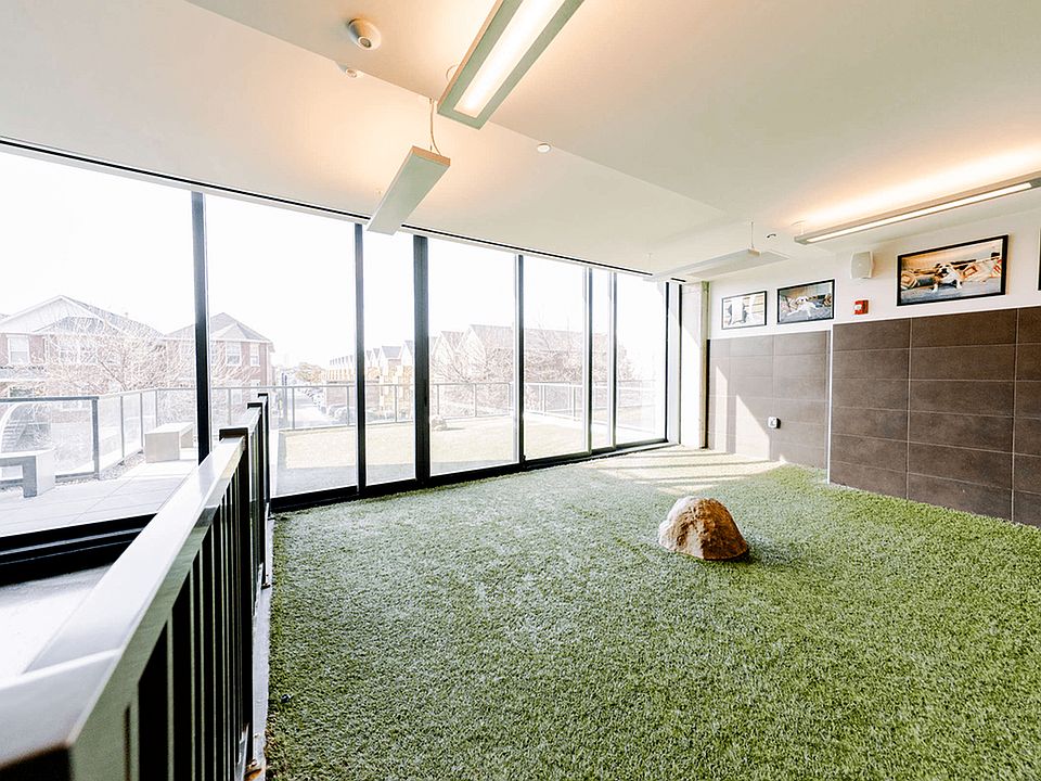 Indoor and outdoor dog runs