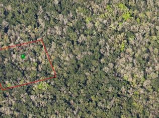 0 Reed Grove Rd LOT 13, Oak Hill, FL 32759
