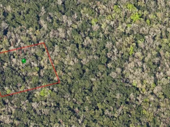 0 Reed Grove Rd Lot 13, Oak Hill, FL 32759