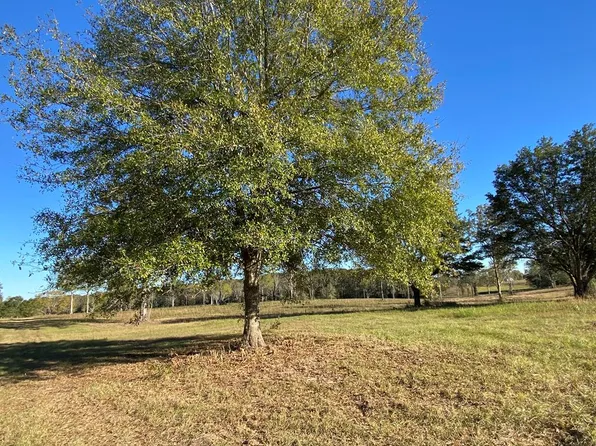 LOT 5 Carey Bryd Rd, Carriere, MS 39426