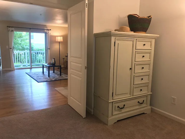 Gentlemen's Closet in the 2nd Bedroom/ Home Office